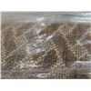 Image 3 : New Allen+Roth Indoor/Outdoor Rug 8ft x 10ft 