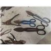 Image 2 : Pliers, Cutters, Tin Snips and Metal Tool Box 