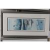 Image 3 : 4 Framed Numbered and Signed Prints by Sue Coleman