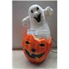 Image 1 : IPL Pumpkin Ghost Blow Mold 24'' H 