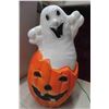Image 5 : IPL Pumpkin Ghost Blow Mold 24'' H 