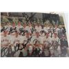Image 3 : Autographed Vintage Goldeyes Framed Picture + Sports Card Lot 