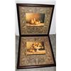 Image 1 : TWO LARGE FRAMED FRUIT PICTURES