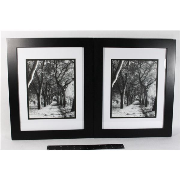 TWO FRAMED  BLACK AND WHITE TREE STREET ARTWORK
