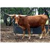 Image 1 : Loretta Lynn 4/22
