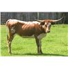 Image 1 : Missy KMD