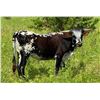 Image 1 : MB Pretty Enough 824