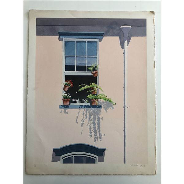 Window Plants Art Print
