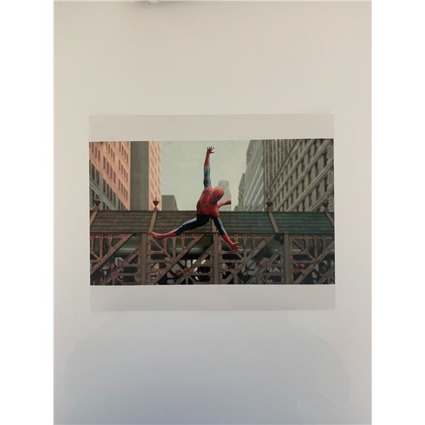 Spider-Man 8x10 photo unsigned