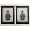 Image 1 : B-R-R-R-R-R-R! Konrad Wothe Double Penguin Print Poster