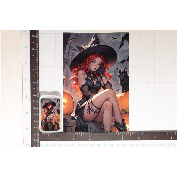 1 TROY OZ .999 FINE SILVER ADULT THEMED COLORIZED