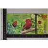 Image 1 : 2024 ATLANTIC FOREST CRISP UNC STRAWBERRY FINCH