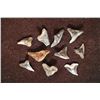 Image 2 : 10-ASSORTED ANCIENT SHARKS TEETH