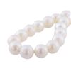 Image 1 : 9MM to 11MM White South Sea Cultured Pearl Necklace with 14K White Gold Clasp