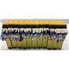 Image 2 : Lot of (11) Pilz #777301 / PNOZ X2.8P 24VACDC 3n-o 1n/c Modules