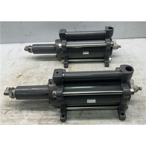 (2) CKD #B-80-11 Cylinders