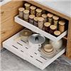 Image 1 : NEW REPACKED ALANSON 2PK PULL OUT CABINET ORGANIZE