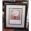 Image 1 : FRAMED PRINT BY JAN GORDON "PEONY" 27" X 24"