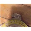 Image 2 : Manitoba Motor League CAA Emblem 4'' x 5'' 