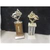 Image 5 : (13) Snowmobile Trophies 