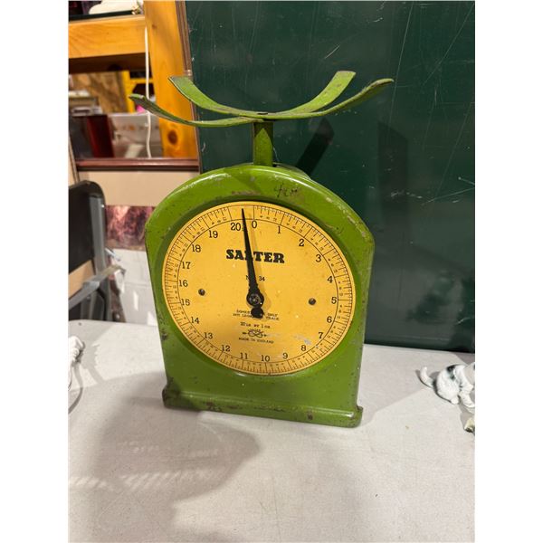 SALTER scale
