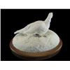 Image 2 : Full Mount Alaskan Ptarmigan- 11" X 18" X 13"