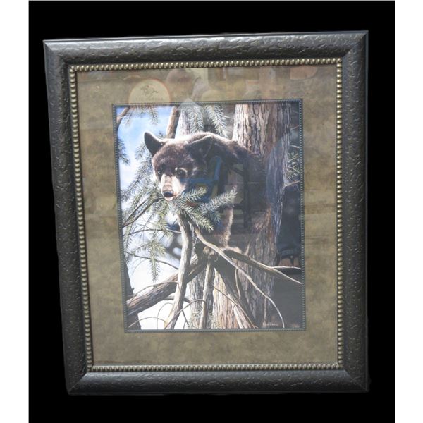 Kevin Daniel Bear Print- 31" X 27"