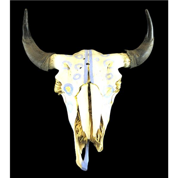 Old, Old Painted Buffalo Skull- 23.5"W