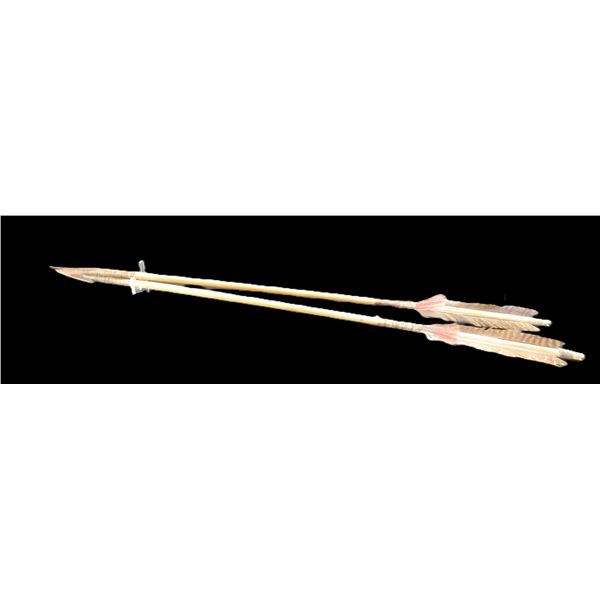 2 Iron Tipped Arrows- Supposedly Used in "Dances With Wolves"