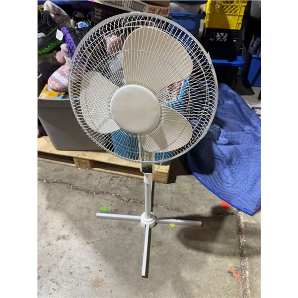 fan