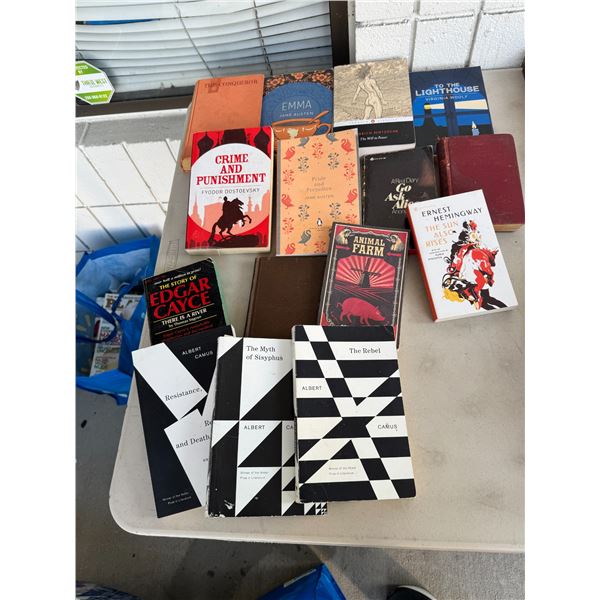 Assorted books, Ernest Hemingway crime and punishment and other others