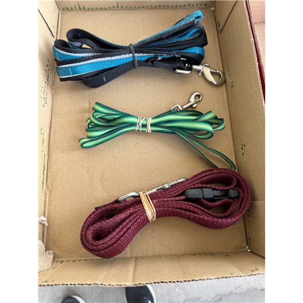 Pet leashes