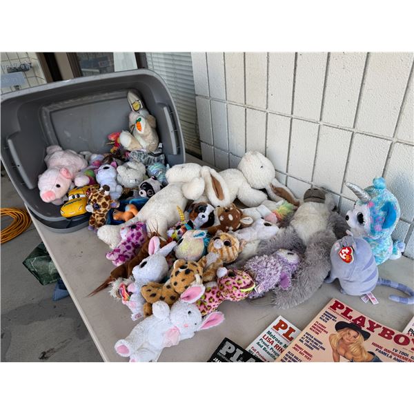 TY and other stuffy's