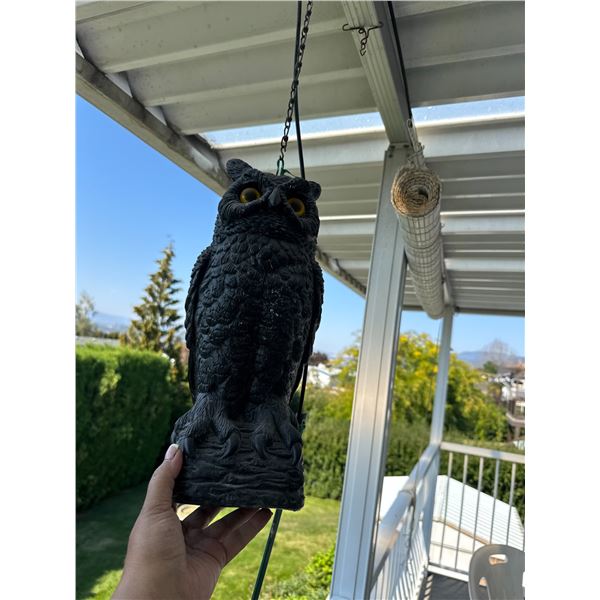 Owl  decoy