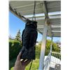 Image 1 : Owl  decoy