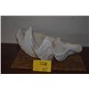 Image 1 : 19 1/2" CLAM SHELL