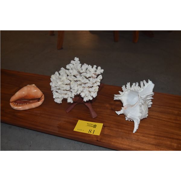 COLLECTION OF CORAL & SHELLS W/STAND (4 PCS)