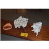 Image 1 : COLLECTION OF CORAL & SHELLS W/STAND (4 PCS)