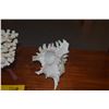 Image 2 : COLLECTION OF CORAL & SHELLS W/STAND (4 PCS)