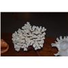 Image 3 : COLLECTION OF CORAL & SHELLS W/STAND (4 PCS)