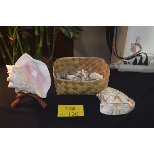 COLLECTION OF SHELLS (DOES NOT INCLUDE BASKET)