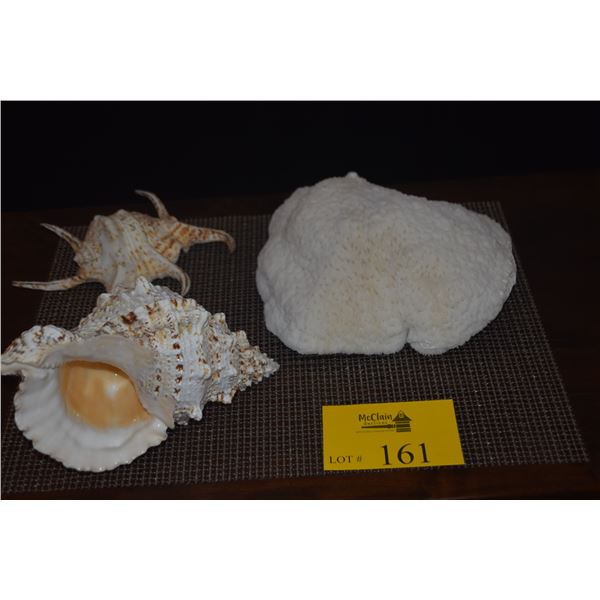 CORAL & SHELLS (3 PCS)