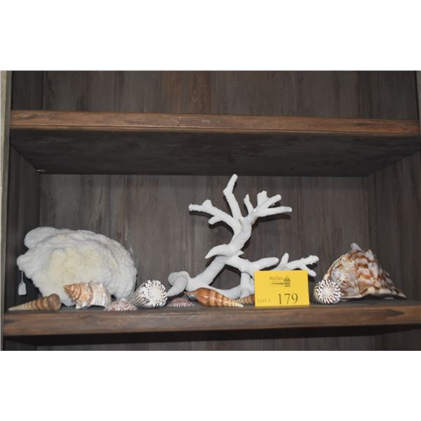COLLECTION OF CORAL & SHELLS (11 PCS)