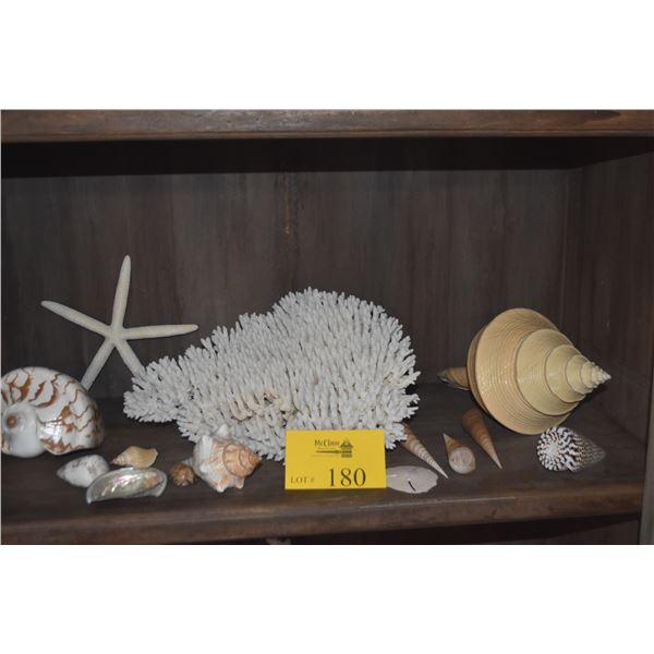 COLLECTION OF CORAL & SHELLS (15 PCS)