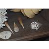 Image 3 : COLLECTION OF CORAL & SHELLS (15 PCS)