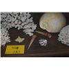 Image 4 : COLLECTION OF CORAL & SHELLS (13 PCS)