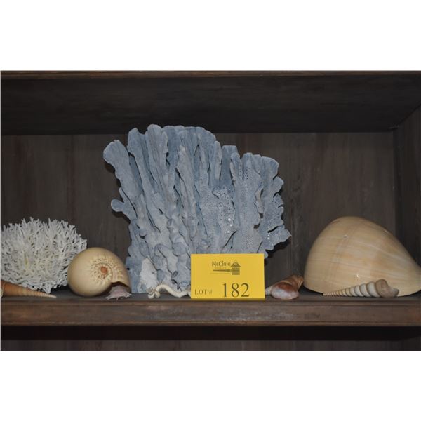 COLLECTION OF CORAL & SHELLS (12 PCS)