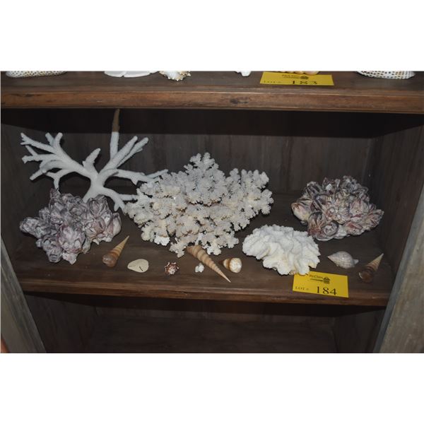 COLLECTION OF CORAL & SHELLS (13 PCS)