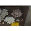Image 3 : COLLECTION OF CORAL & SHELLS (13 PCS)