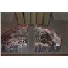Image 2 : LARGE PETRIFIED WOOD BOOKENDS